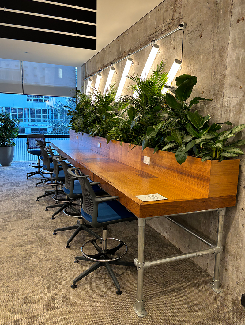 new sister partial image